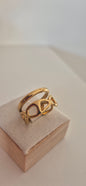 Double bague